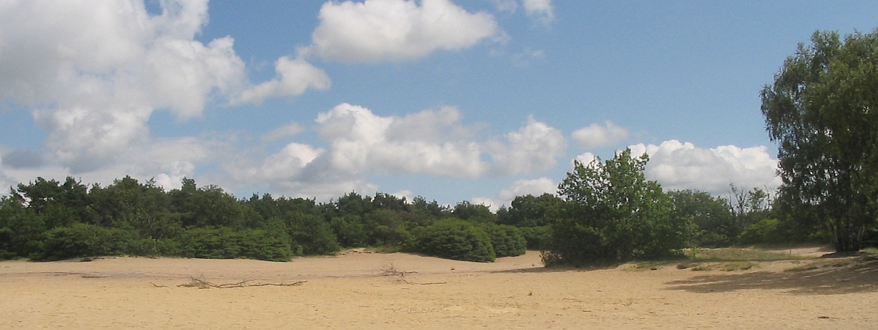 Witte Bergen, Laren